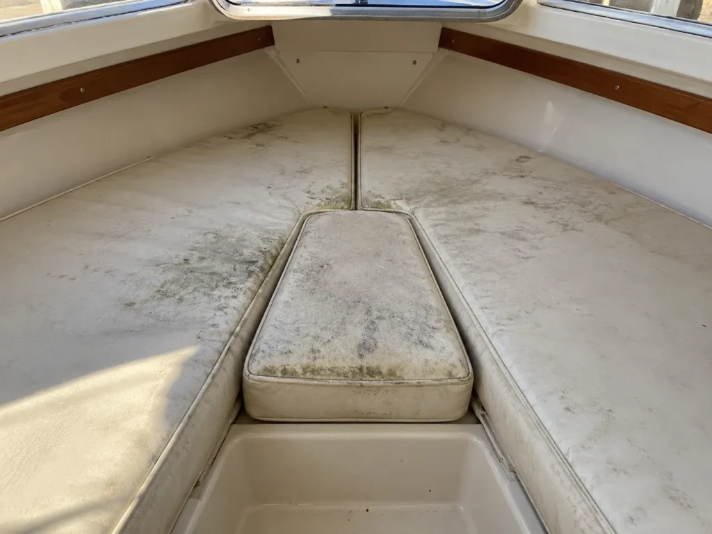 V-berth cushions stained with mildew