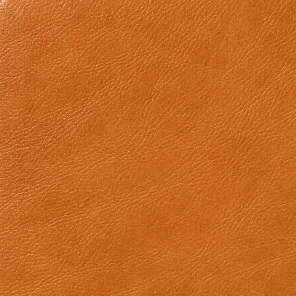 Camel leather color