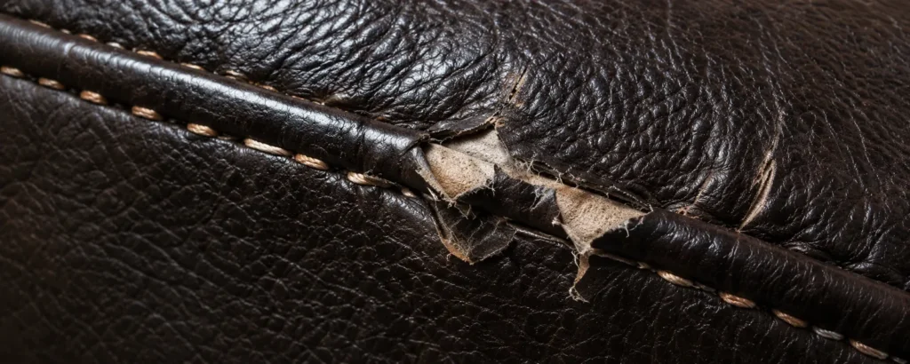 Torn at the seam from cat claws on leather
