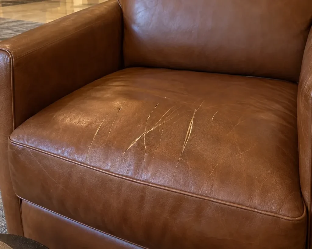 Claw marks