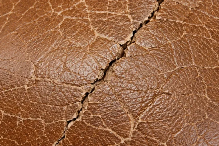 Leather showing dry crazing