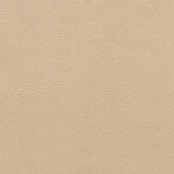 Swatch of beige leather