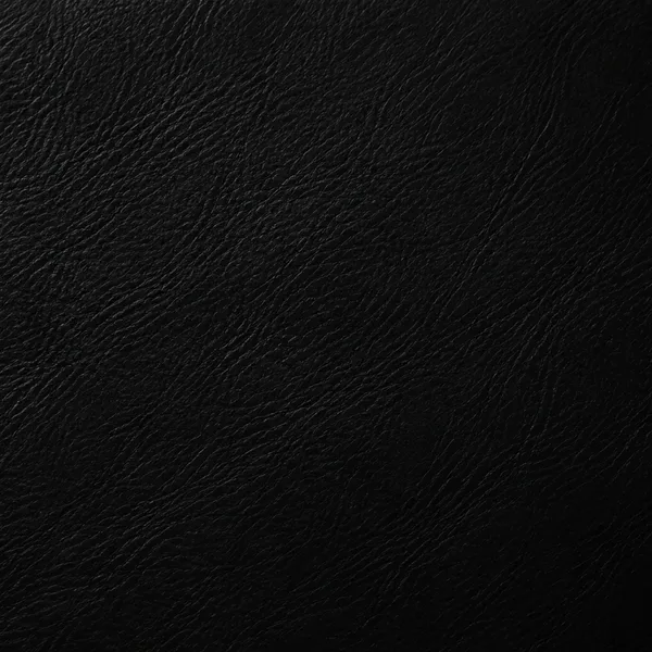 Swatch of black leather