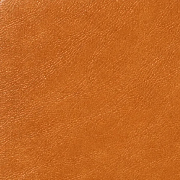 Swatch of camel leather