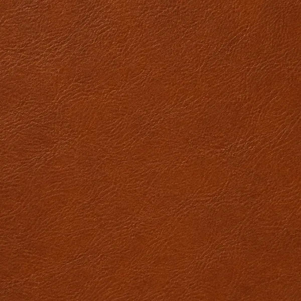 Swatch of cognac leather