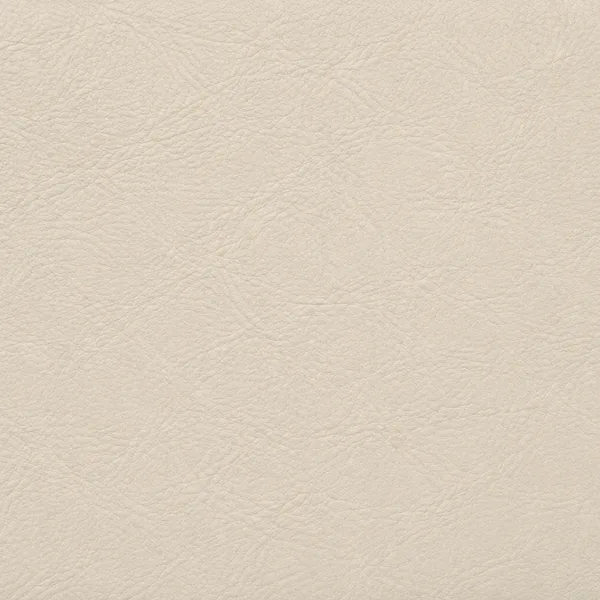 Swatch of cream leather