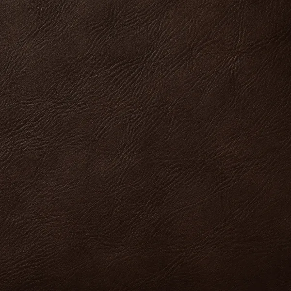 Swatch of espresso leather