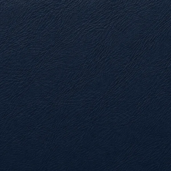 Swatch of navy leather
