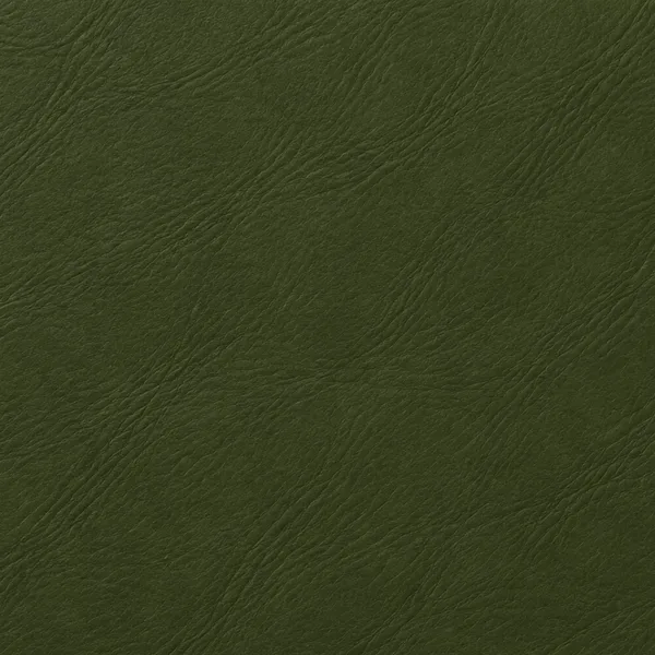 Swatch of olive leather