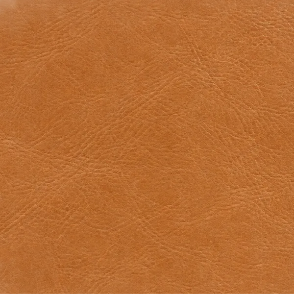 Swatch of tan leather