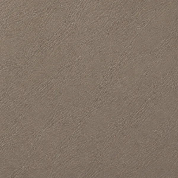 Swatch of taupe leather