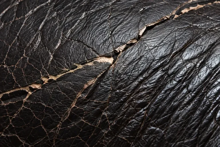Leather showing crease lines