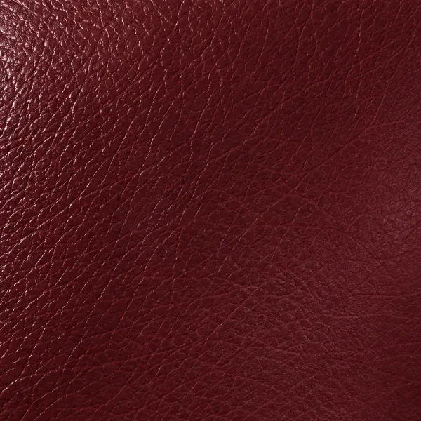 Burgundy leather swatch for a sofa