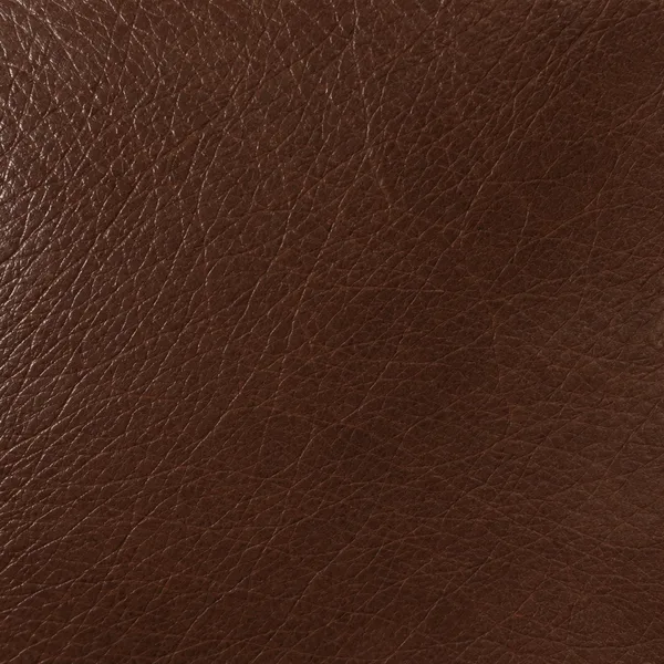 Chocolate leather swatch for a sofa