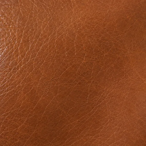 Cognac leather swatch for a sofa