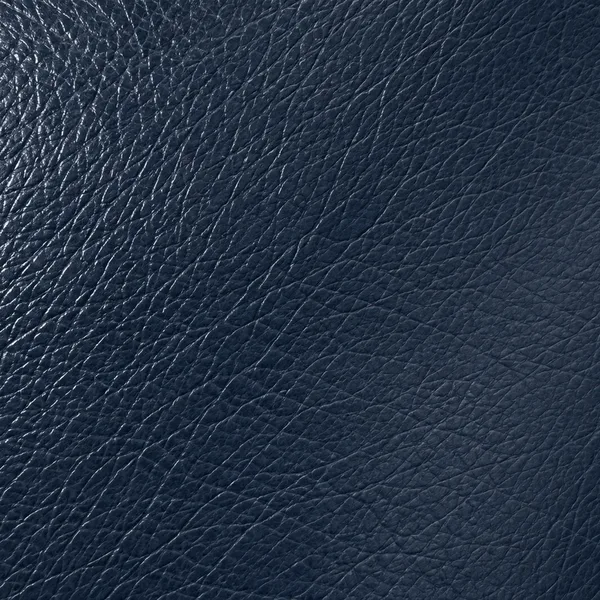Navy leather swatch for a sofa