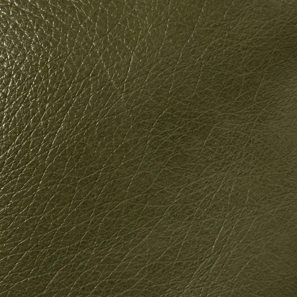 Olive leather swatch for a sofa