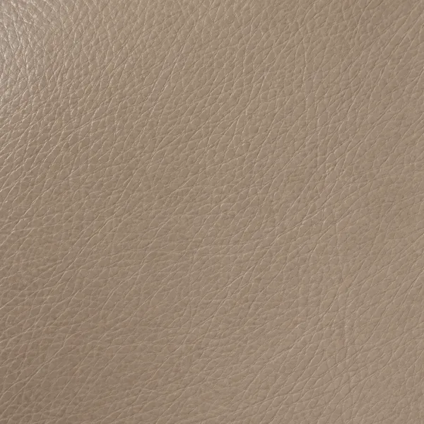 Taupe leather swatch for a sofa