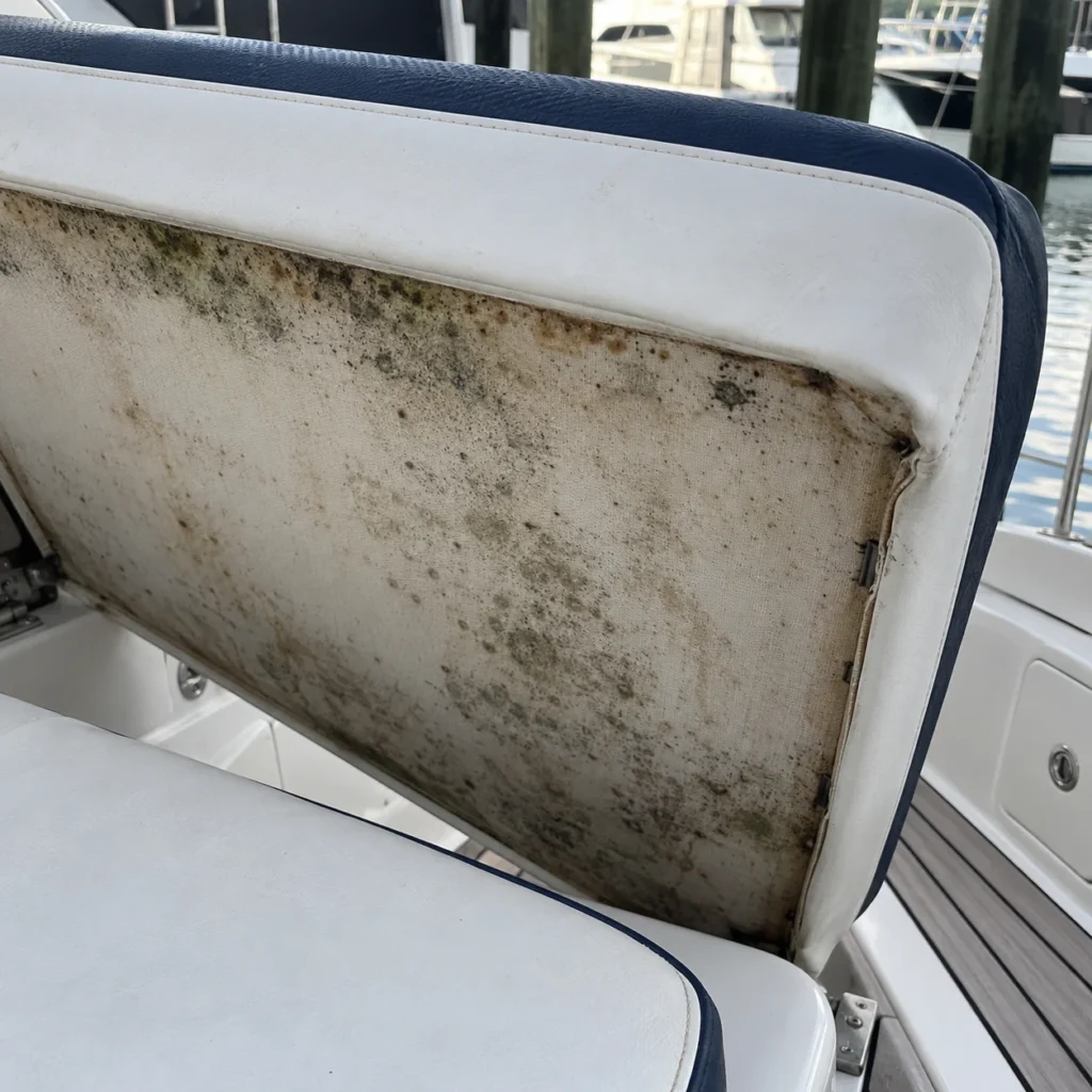 Mildewed backing on yacht upholstery